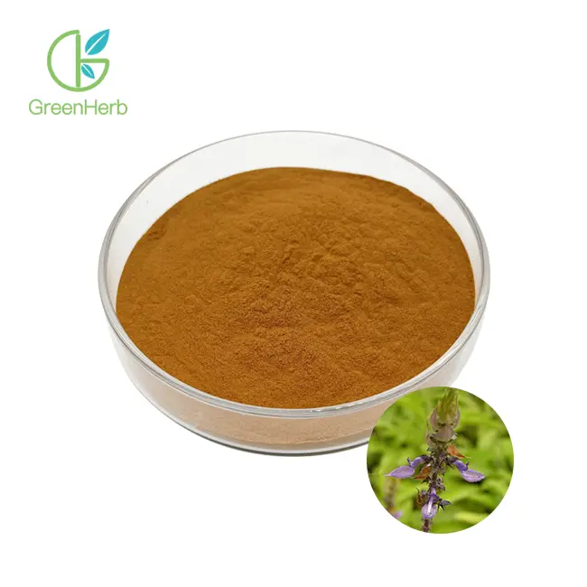 Coleus Forskohlii Extract